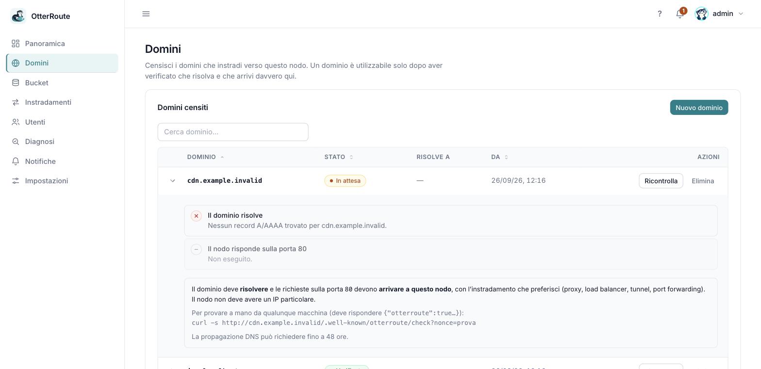 Un dominio in attesa: il passaggio DNS fallisce e il secondo viene saltato